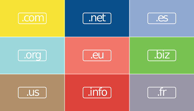 Ejemplos de dominios de Internet