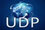 Protocolo UDP.
