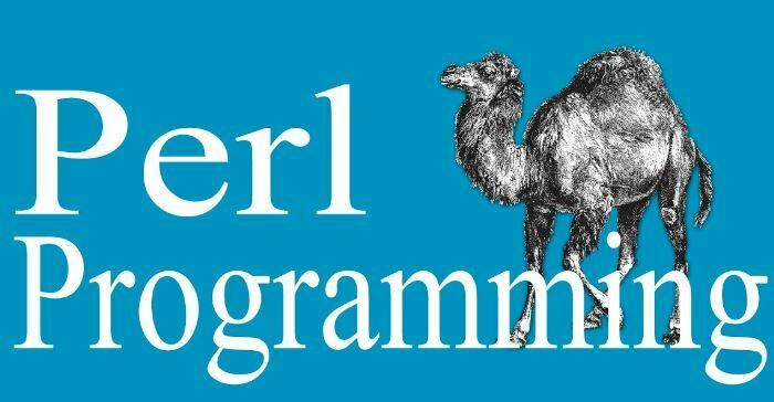 ¿Qué es Perl: cómo funciona y para qué sirve?