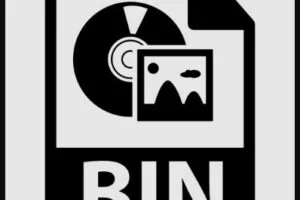 ¿Qué son los archivos con extensión bin: cómo funcionan y para qué se utilizan?‍