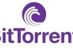 ¿Qué es BitTorrent: Cómo funciona y para qué sirve?