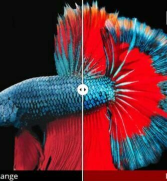 ¿Qué es el Rango Dinámico Estándar (SDR): Cómo funciona y para qué sirve? 2 ¿Qué es el Rango Dinámico Estándar (SDR): Cómo funciona y para qué sirve?