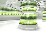 La Robótica en la Agricultura: Automatización para la Agricultura Sostenible