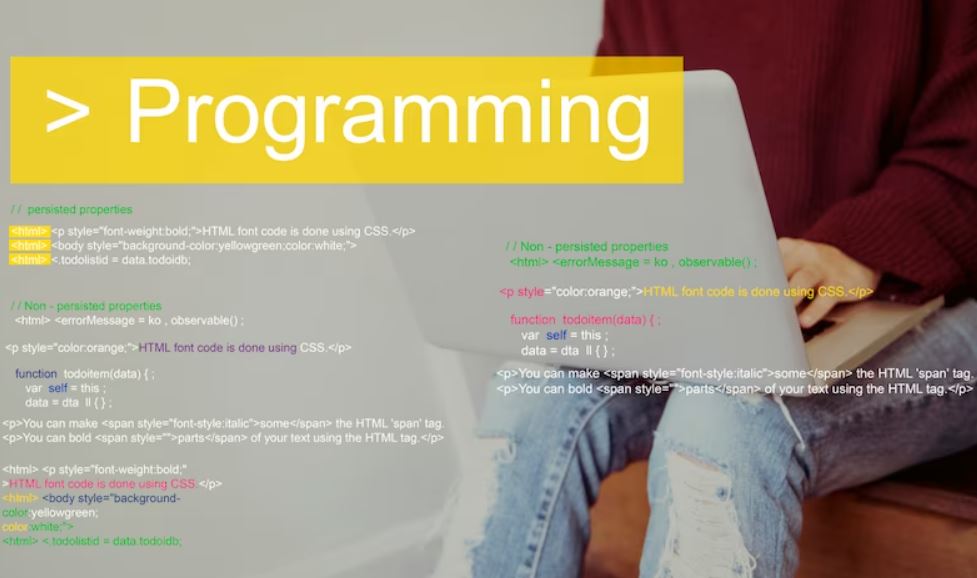Programación Básica: Una Guía para Principiantes